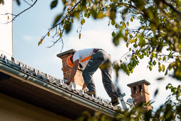 Best Commercial Roof Installation  in Arabi, LA